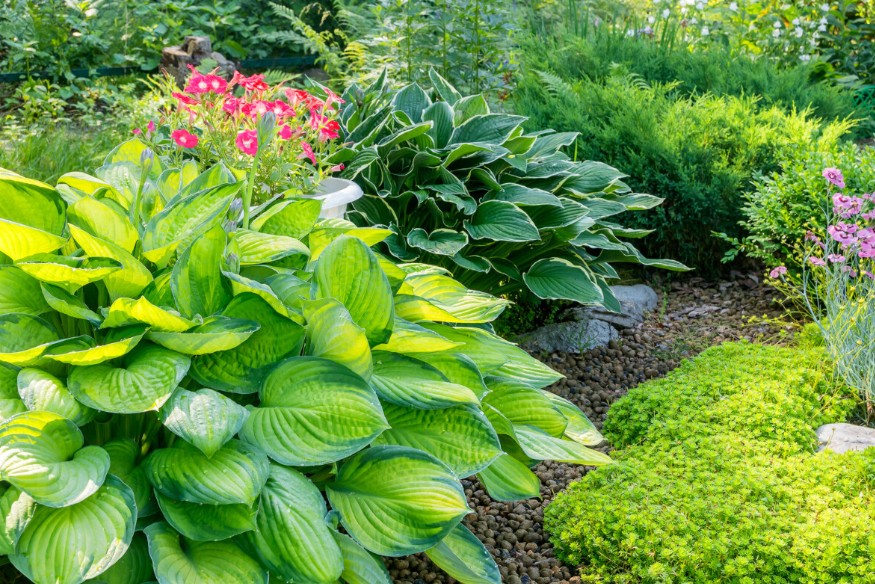 How to Plan Landscaping Around Wind Exposure in Calgary