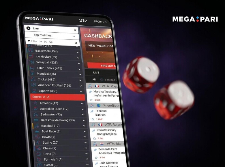 Is the Megapari APK Safe to Install on Your Android Device?